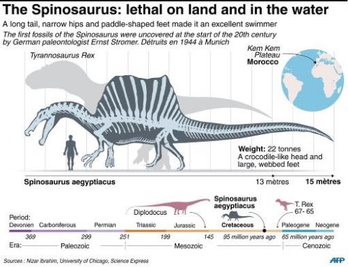 spinosaurus-aegyptiacus-1